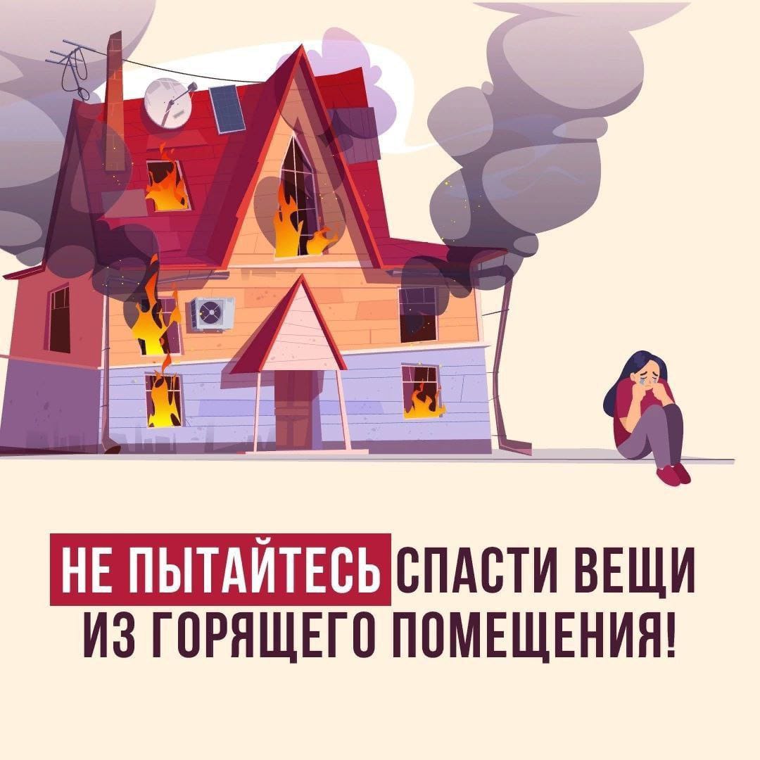 Изображение WhatsApp 2024-02-28 в 09.40.37_cf96b384.jpg